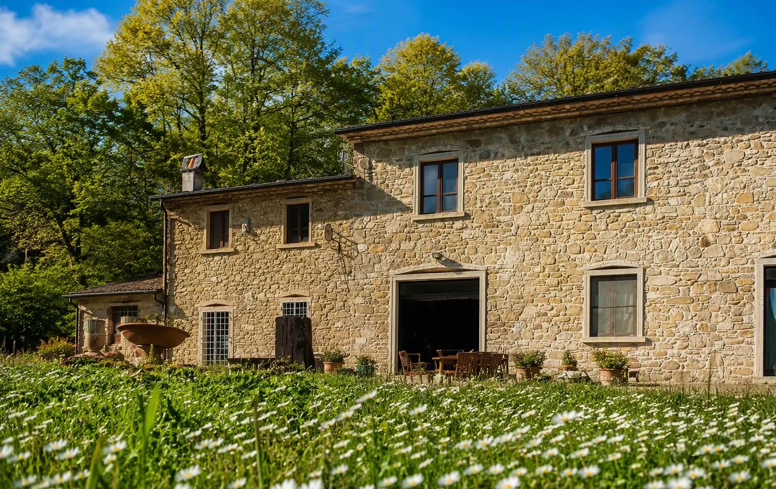 Il casolare in pietra di Il Bosco con il prato di margherite